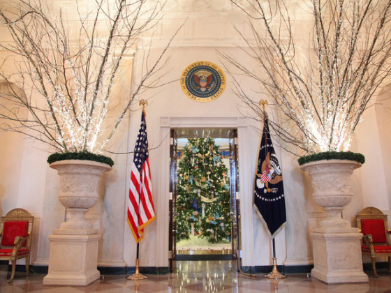 whitehouse-christmas-2010-blueroom-martykatz.jpg